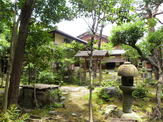 0050-1.JPG