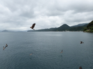 006−1.JPG