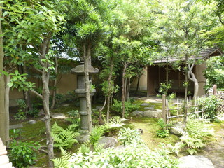 019−2庭.JPG
